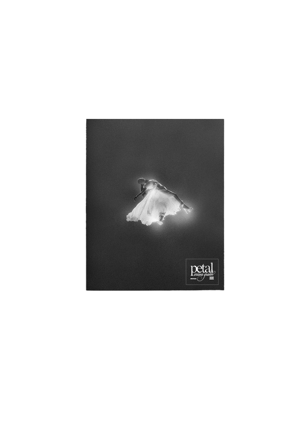 petal exclusive tour edition zine cd
