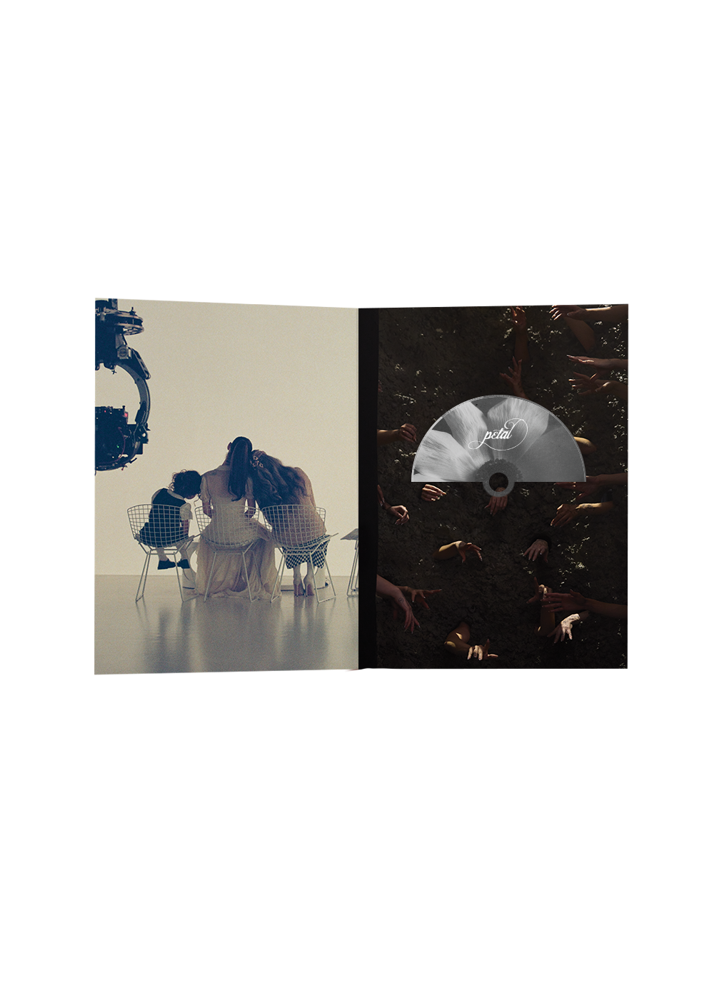 petal exclusive tour edition zine cd