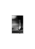 petal exclusive recycled black cassette